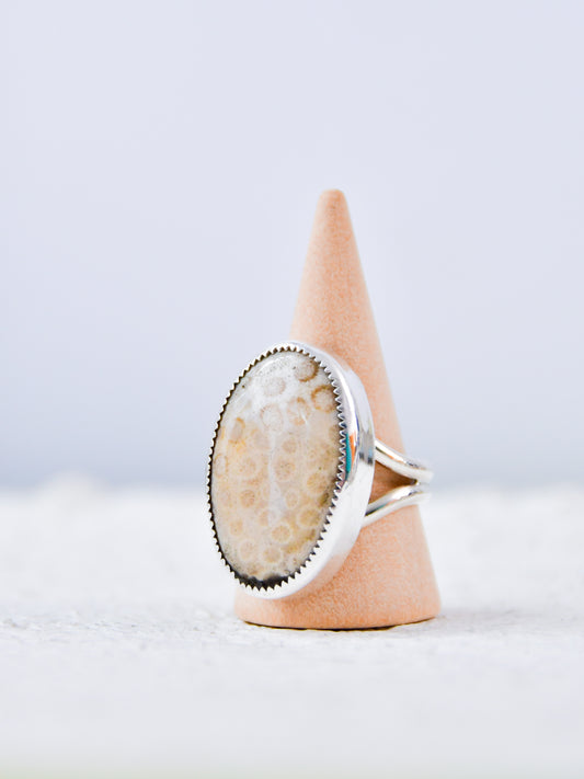 Fossilized Coral Ring (9)