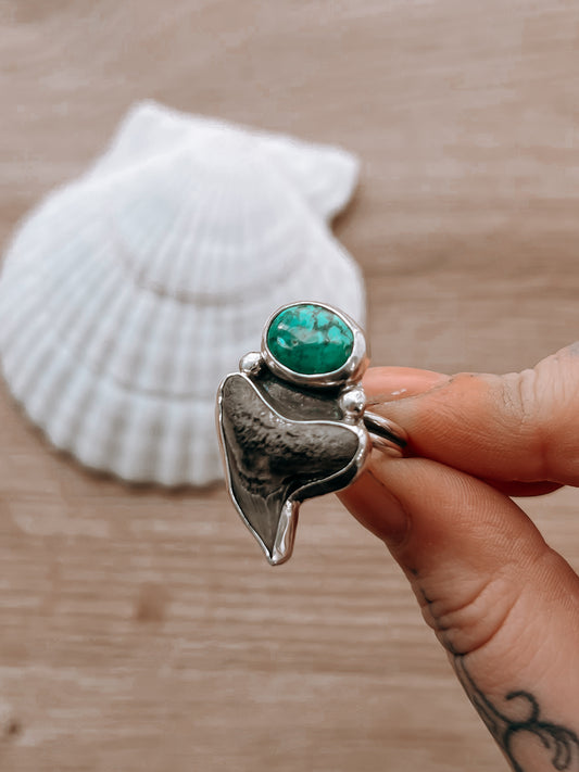 Shark Tooth & Turquoise Ring (8.5)