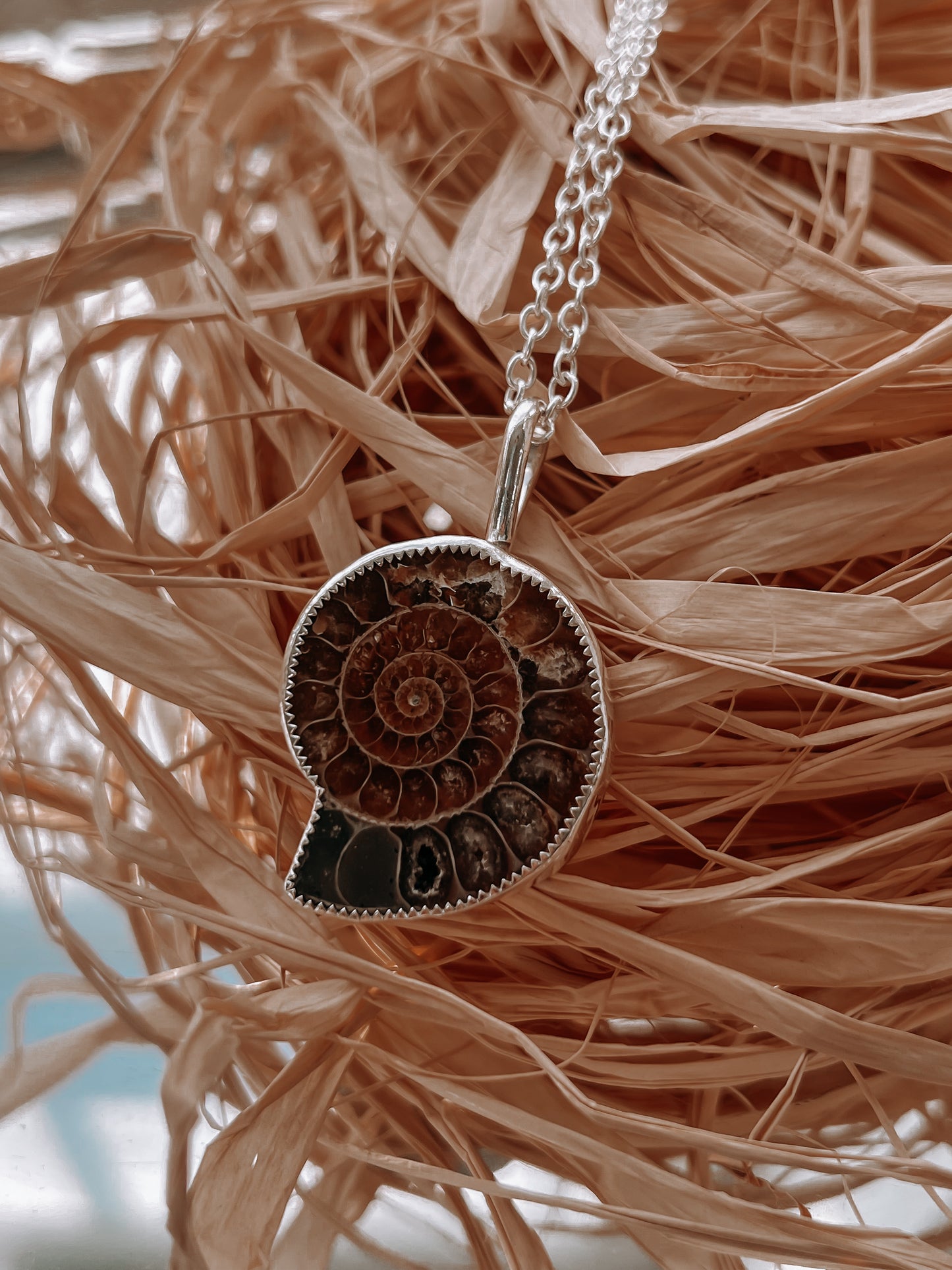 Ammonite Necklace