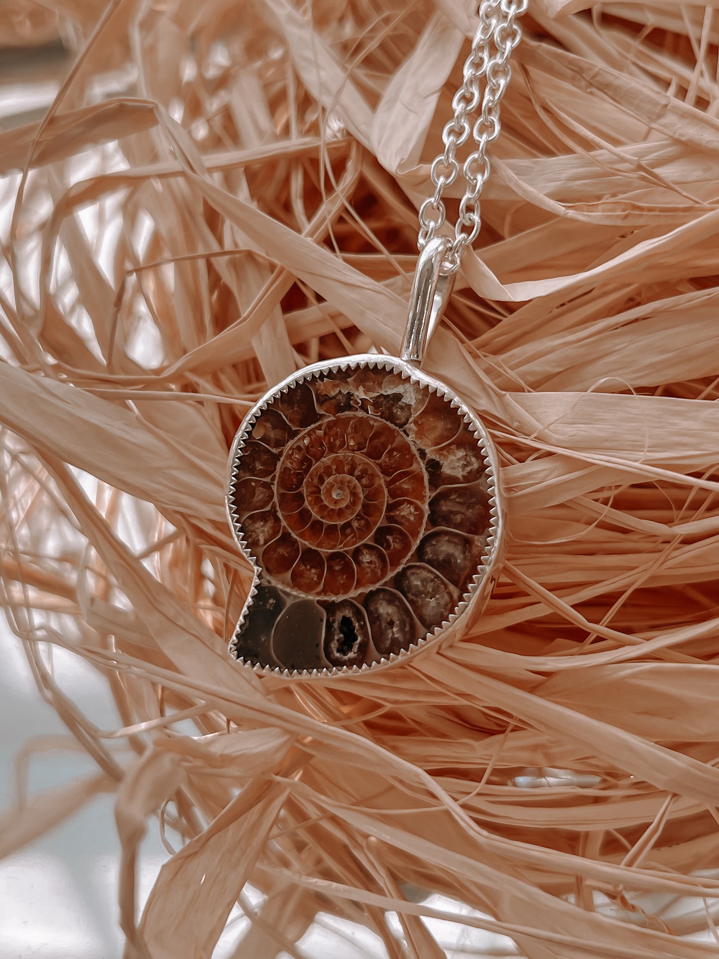 Ammonite Necklace