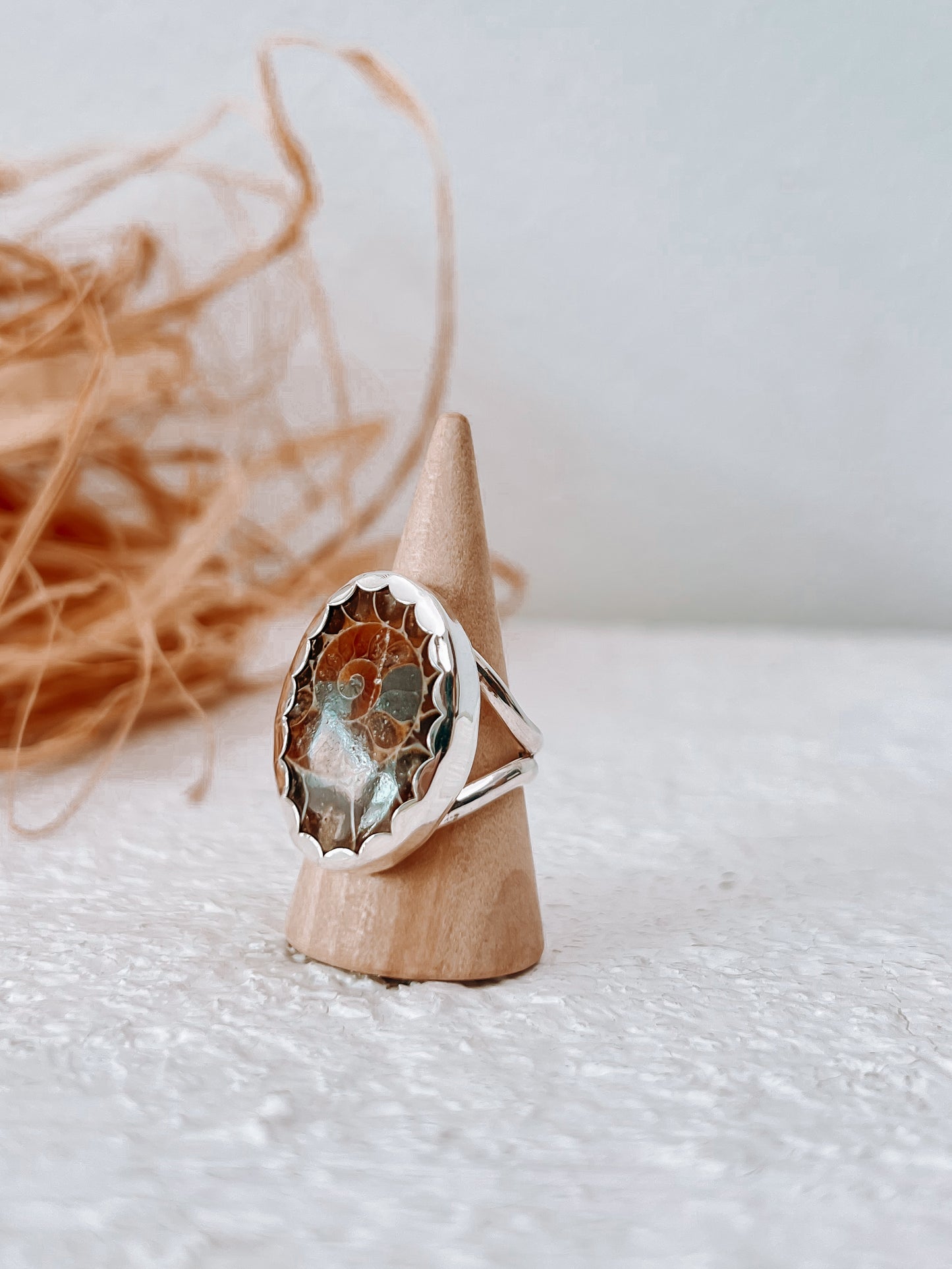 Polished Ammonite Ring (7)