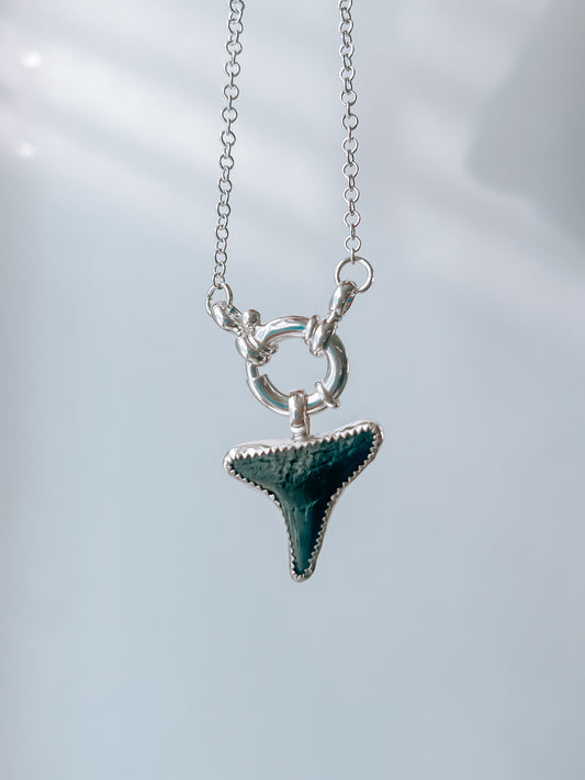 Simple Shark Tooth Necklace